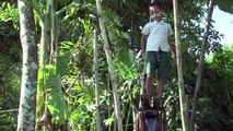 L'impression 3D à la rescousse des paysans birmans
