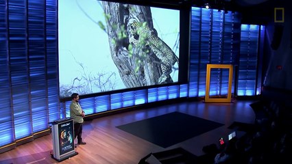 Watch Wild Predators Battle for Survival - Beyond ‘Savage Kingdom’ (Part 3) _ Nat Geo Live-pYFxPUqMYZc