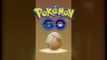 Bonus Surprise Eggs Video 02 !!! Hatching Pokemon Go Eggs !! 2x 2km