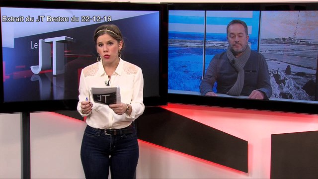 Moteurs volés. Deux gangs démantelés en Bretagne