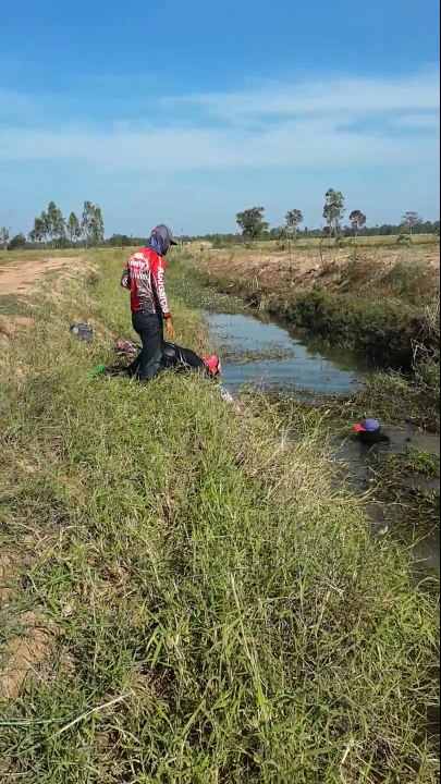 Quand tu dois aller repecher tes vaches dans le ruisseau