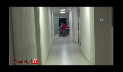 Bartın'da yaşlı adam, iki ayının saldırısına uğradı