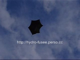 Rokkaku 2m Kite for Outdoor Fun