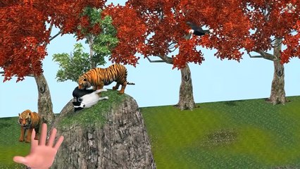 Finger Family Song || EAGLE V/S EATING WILD ANIMALS version || Nursery Rhymes and Baby Songs