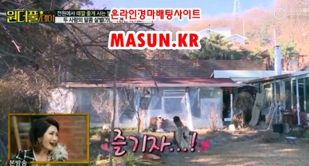 경정결과 , 경정예상 『 M a S u N 쩜 K R  』 경예상가