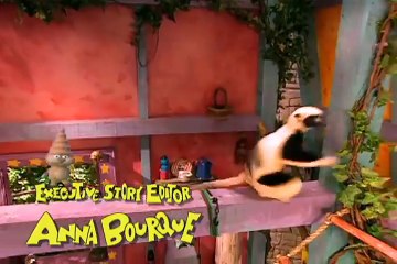 Zoboomafoo Episode 204 - Creature Neighbours (Full Episode)