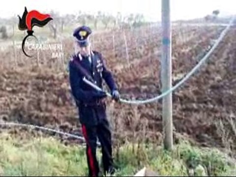 Acquaviva delle fonti (BA): sorpresi mentre rubano cavi in rame