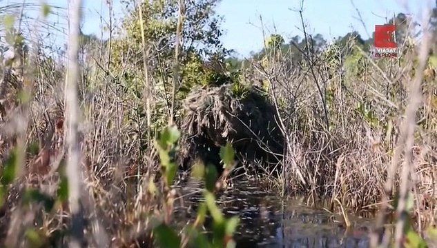 Невероятные изобретения 1 сезон 25 серия из 30 - Камуфляж / Wicked Inventions (2015)