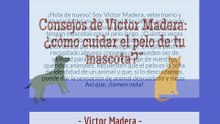 El cuidado de nuestra mascota Victor Madera