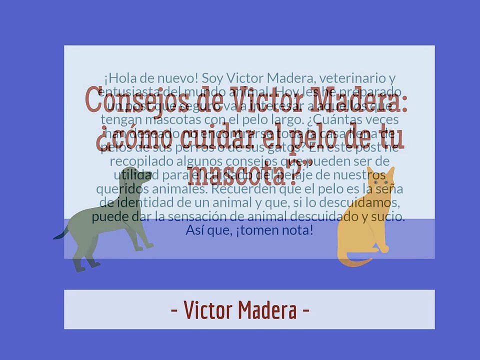 El cuidado de nuestra mascota Victor Madera