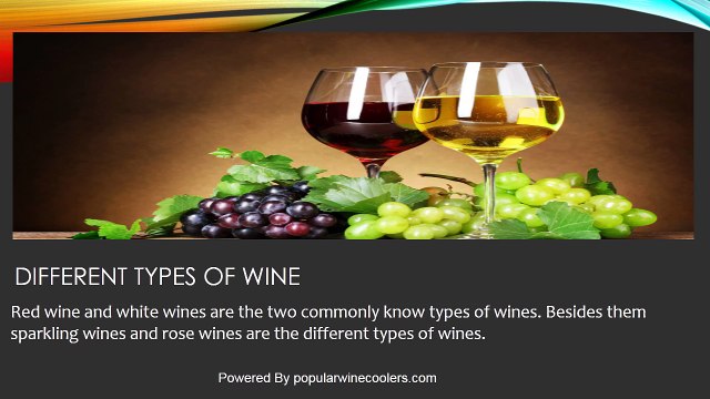 Best wine coolers 2017