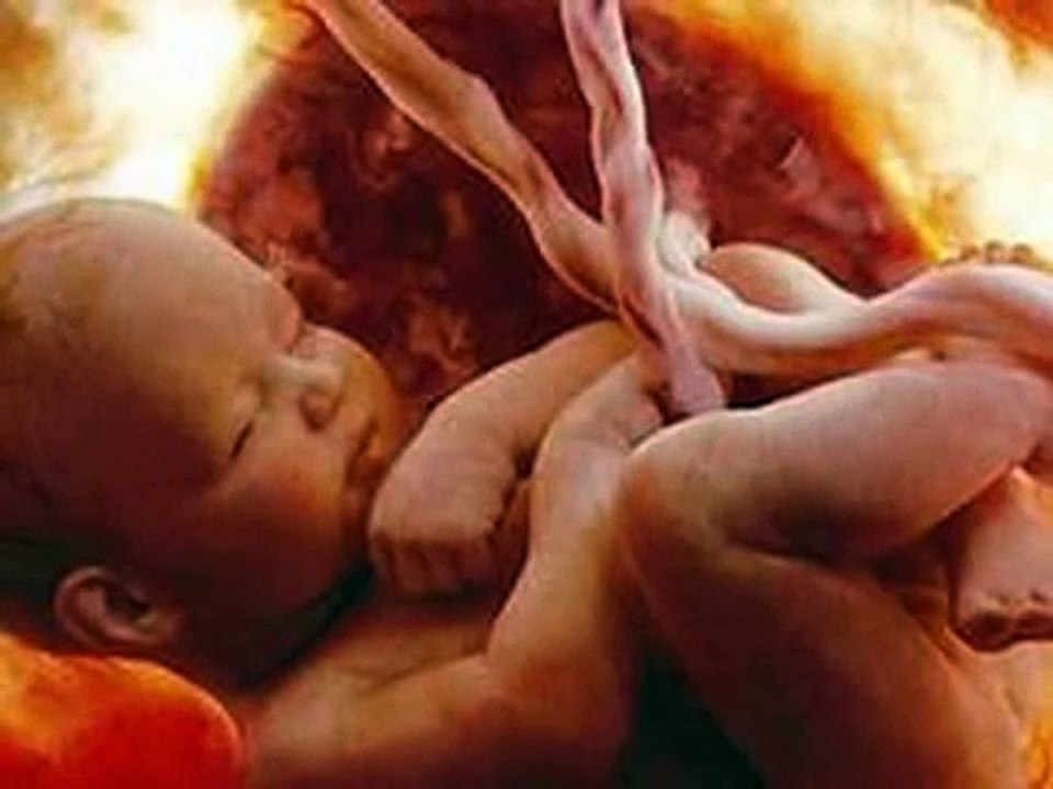 PREGNANCY WEEK 29 II गर्भावस्था का 29वां हफ्ता II