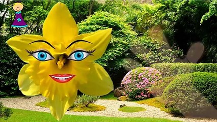 Finger Family Nursery Rhymes for Children DAFFODIL Cartoon | Animated 2D DAFFODIL Song for Kids