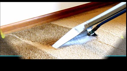 Carpet Cleaning in Miami