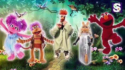 Sesame street and the Muppets Finger Family Nursery Rhymes Simple Songs