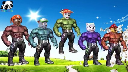 #Paw Patrol #Hulk #Finger Family Songs #Nursery Rhymes Lyric & More Panda Kids