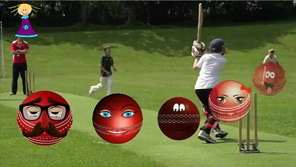 Finger Family Nursery Rhymes for Children CRICKET BALL Cartoons | Crazy CRICKET BALL Finger Family