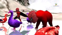 Spider Man and Bear Learn Colors For Kids | Colors Animals Learning Colours For Children Rhymes