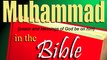 The Absolute Truth About Muhammad in the Bible