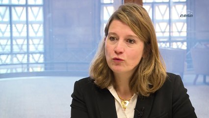 Questions à Delphine CHAUFFAUT (Terra Nova) - Revenu minimum - cese