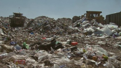 Mexico fights back against food wastage
