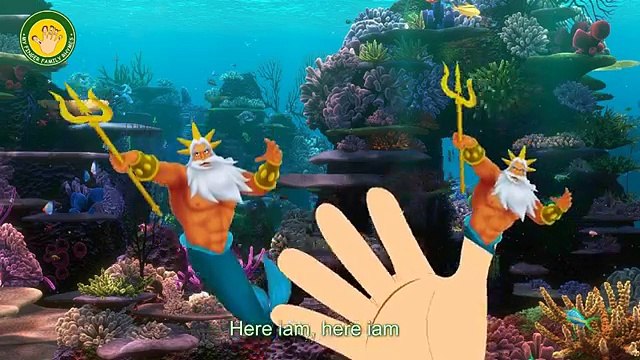 Finger Family Little Mermaid | Mermaid Finger Family Animal Nursery Rhymes Songs For Children