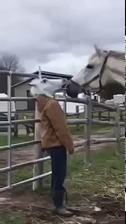 cheval VS tête de cheval