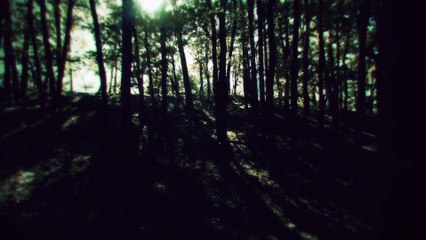 Project Re Fantasy - Concept Video