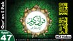 Listen & Read The Holy Quran In HD Video - Surah Muhammad [47] - سُورۃ محمد - Al-Qur'an al-Kareem - القرآن الكريم - Tilawat E Quran E Pak - Dual Audio Video - Arabic - Urdu