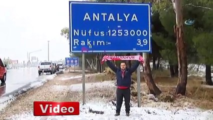 Antalya'da portakal ve limon ağaçları…