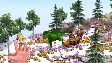 Finger Family || TIGER v/s DINOSAUR Version || Children Animated 3D Rhymes