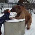 Is time for meal for a lovely bear