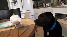 True Friendship