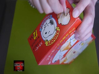 dondurmalı cupcake (ıce cream cupcakes)