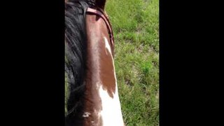 Riding a Horse