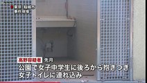 東京　公園トイレで女子中学生の下着奪い強姦未遂　2016年11月28日