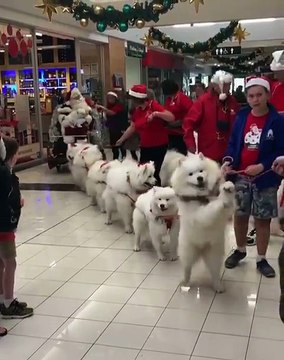 Artificial Approach Santa Claus Use When He Do Not Have Reindeer