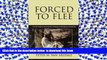 READ book  Forced to Flee: Human Rights and Human Wrongs in Refugee Homelands (Program in