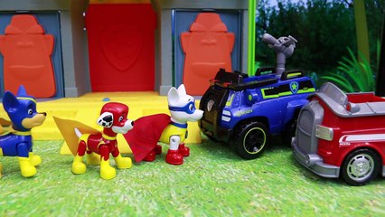 Paw Patrol Apollo Super Pup Dream with Chase and Marshall Super Pups Saving Monkey and Fight Dragon