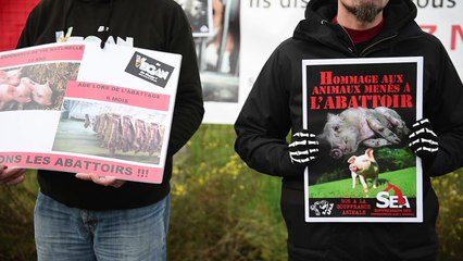 Manifestation devant les abattoirs de Liège