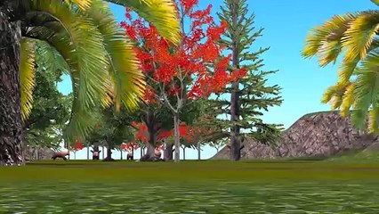 Top 10 3D Animated Finger Family Rhymes | Bear Finger Family Rhymes | Finger Family