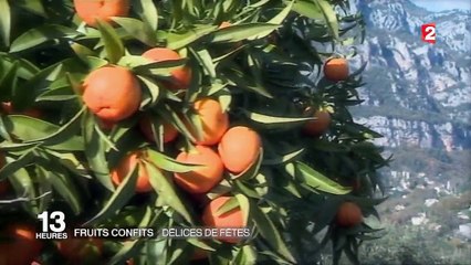 Fruits confits : délices de fêtes