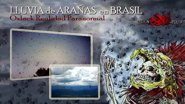 LA VERDAD DE LA LLUVIA DE ARAÑAS EN BRASIL @OxlackCastro