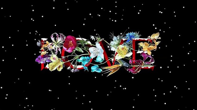 Best of Karlie Kloss