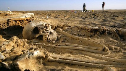 Biggest Human Skeleton in World found in Greece | amazing human skeleton | amazing video about human