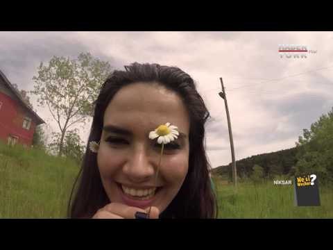 Nesi Meşhur? - 11 Eylül 2016 (Tokat Niksar)