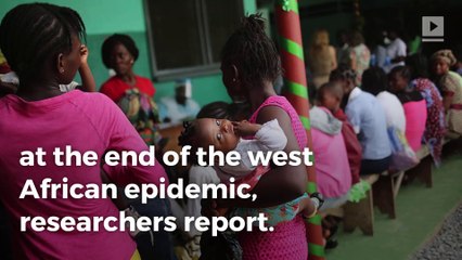 Ebola vaccine gives 100% protection, study finds