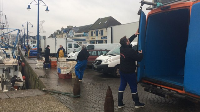 Coquilles : la dernière ligne droite avant les fêtes