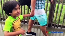 Schlitterbahn WaterPark Resorts Family Fun Amusement Waterslides for Kids Ryan ToysReview