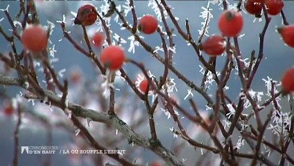 Là où souffle l'esprit